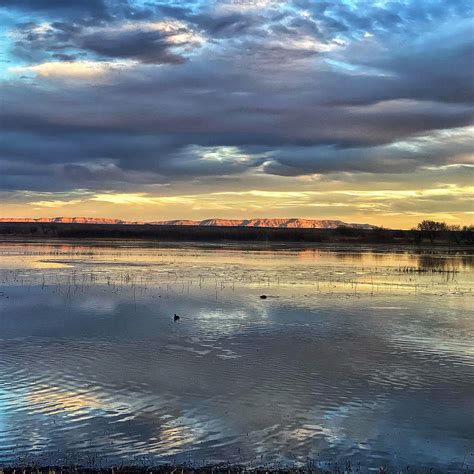 Bosque Del Apache Sunset Photograph By Roberta Fotter Fine Art America