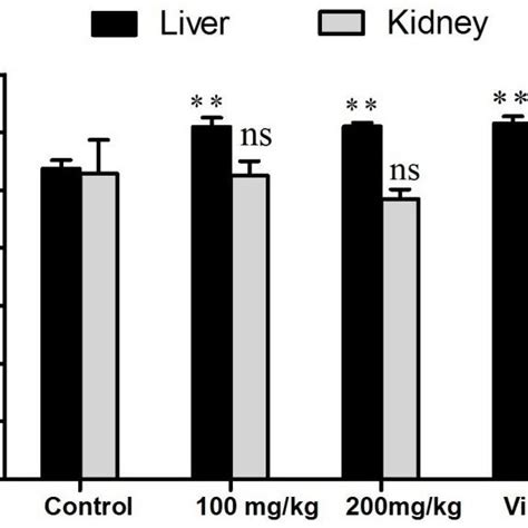 Effect Of Methanolic Extract Of C Azarolus And Vitamin C On Total