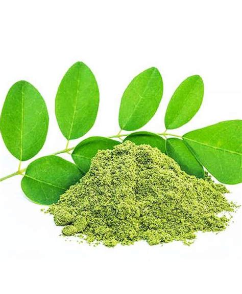 Premium Moringa Powder Rich In Nutrients