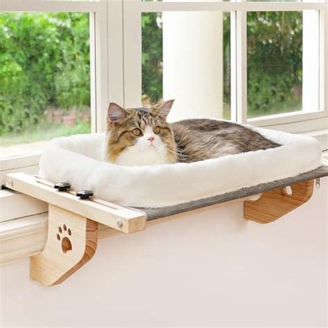 Top 5 Best Cat Window Perches 2024 Pixelfy Blog