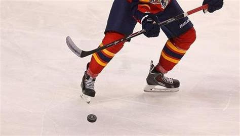 Un enfant tué par un palet de hockey en France LeBabi net