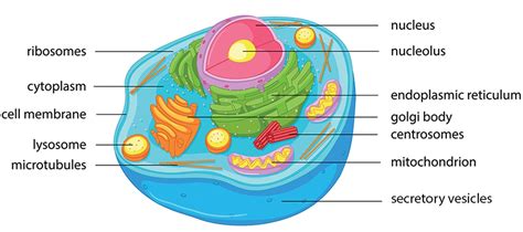 Cells Blog Sepam