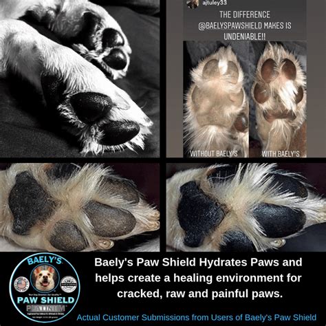 Keep Your Dogs Paws Happy And Healthy A Guide To Paw Pad Care Bashs