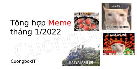 Tổng Hợp Ảnh Meme Tháng 12022 Mận Vải Che Chau Vi En Ghe Vay Sao