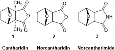 Figure From Synthesis And Anticancer Activity Evaluation Of New