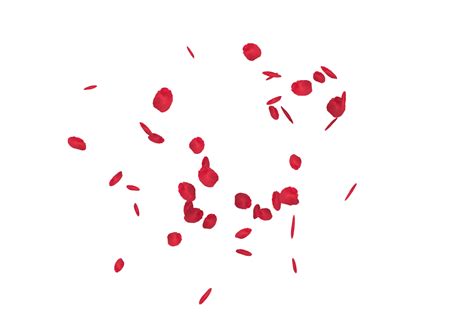 Image Of Falling Red Rose Petals Overlay Png Free Photo