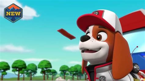 Paw Patrol Pups Floppy Ears Nickelodeon Rex December Fanart