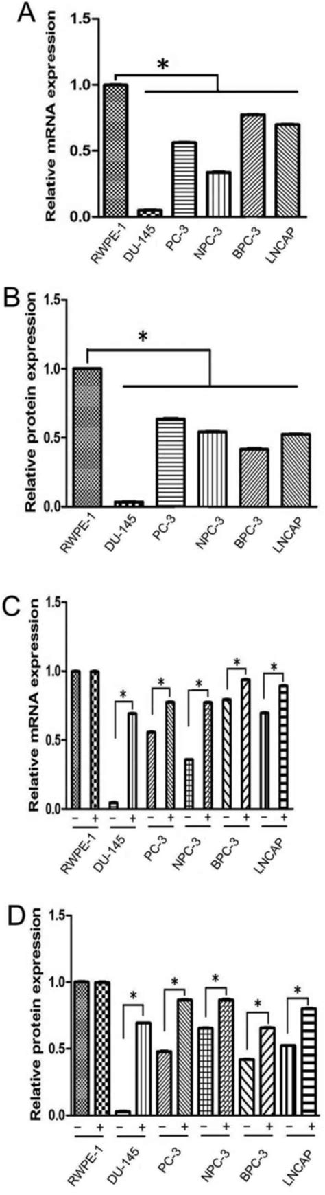 Hypermethylation Of The Sparc Promoter And Its Prognostic Value For