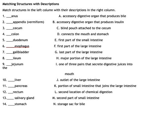 Solved Matching Structures With Descriptions Match Chegg