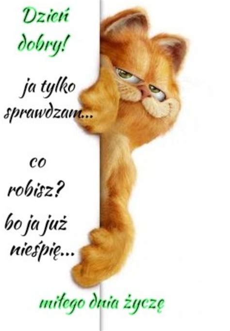 Pin by Anna Plińska on Moje ulubione Weekend humor Good night