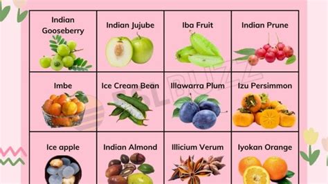 Fruits That Start With U Unleash Your Vocabulary Eslbuzz