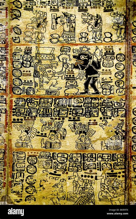 Maya Codex Hi Res Stock Photography And Images Alamy