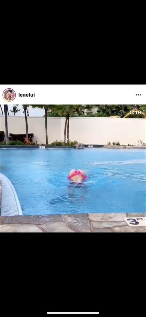 That Ass R Leaeluiginet