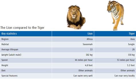 Compare-and-Contrast—–lion-and-tiger – Aquascript