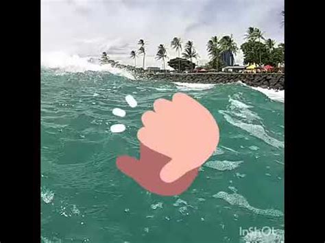 da fin hawaii point panics contest  summers  youtube
