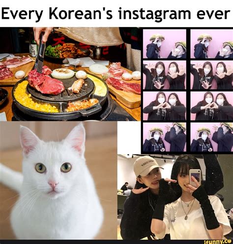 Koreanbbq memes. Best Collection of funny Koreanbbq pictures on iFunny