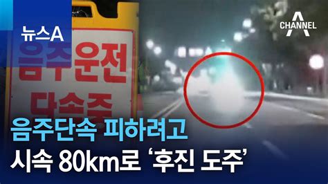 음주단속 피하려고시속 80km로 ‘후진 도주 뉴스a Youtube