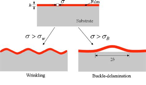 Figure From Buckling Modes Of Elastic Thin Films On Elastic