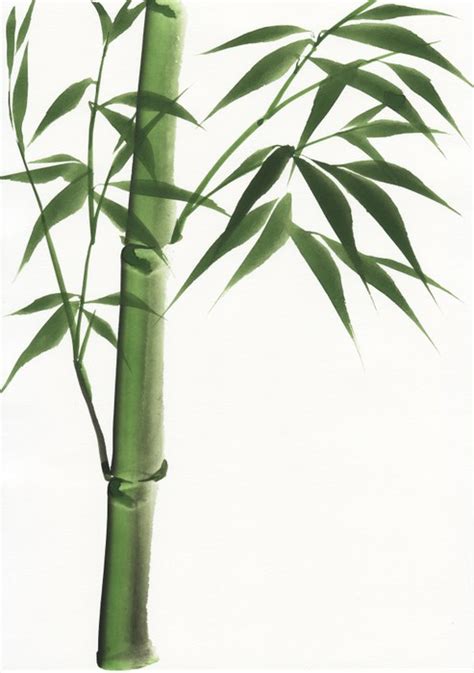 Bamboo Watercolor Painting at GetDrawings | Free download