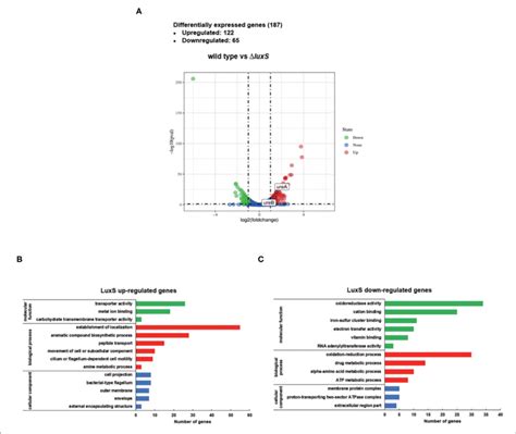 Differentially Expressed Genes Degs Regulated By Luxs Identified By