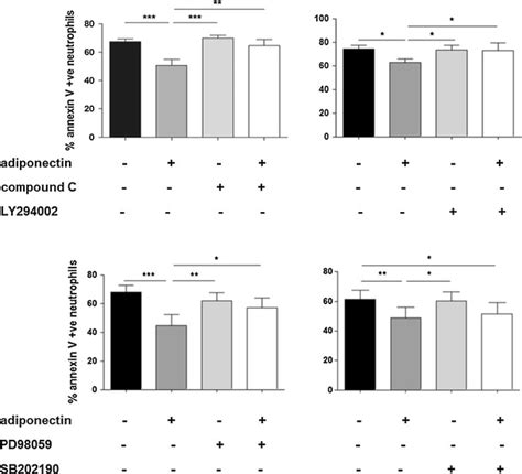 Anti Apoptotic Effects Of Adiponectin Are Mediated By AMPK PKB And ERK