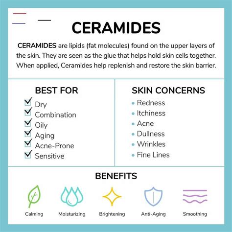 Ingredient 101 Ceramides Healthyskin Ceramides Are Great For The Skin Read On To Find Out