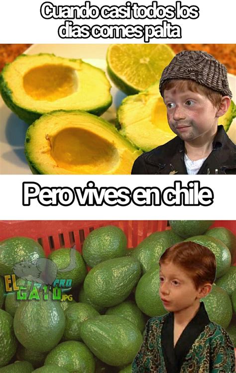 Palta D Meme Subido Por ElGatoPro Memedroid