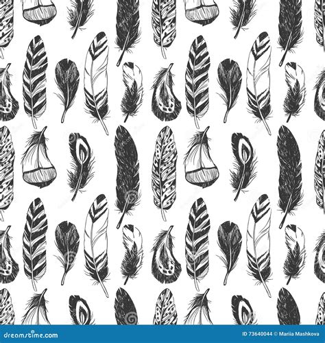 Feathers Seamless Pattern Stock Vector Illustration Of Bird