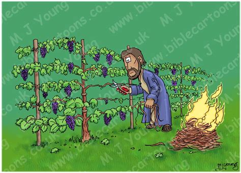 Bible Cartoons: John 15 - The vine and the branches