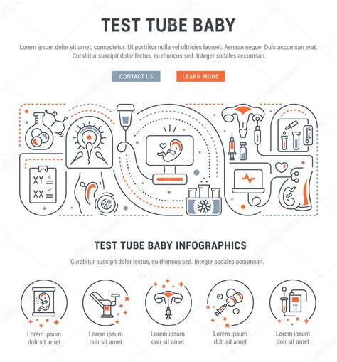 Banner De L Nea Del Beb Probeta Ilustraci N Vectorial De La Fecundaci