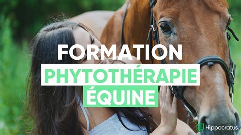 Formation En Phytoth Rapie Quine Youtube