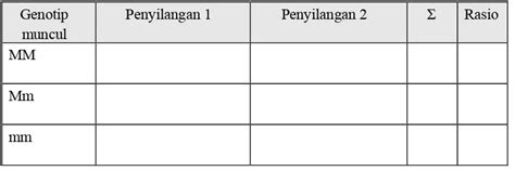 SALING MELENGKAPI ANTARA STRUKTUR DAN FUNGS