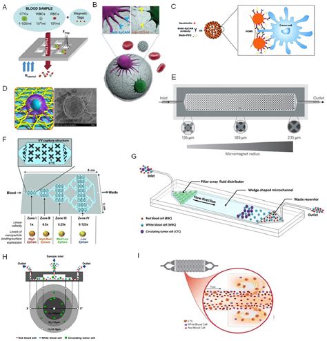 Figure From Macs Cell Separation Platform Miltenyi Biotec Based