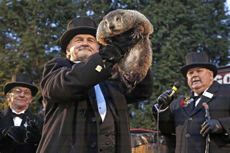 Groundhog Day Spotlights America's Favorite Weather Animal - NBC News