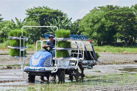 Everything You Need To Know About Tym Riding Type Rice Transplanter