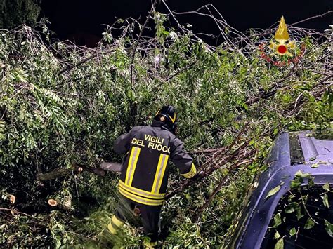 Maltempo A Verona Alberi Caduti Ed Edifici Pericolanti Interventi