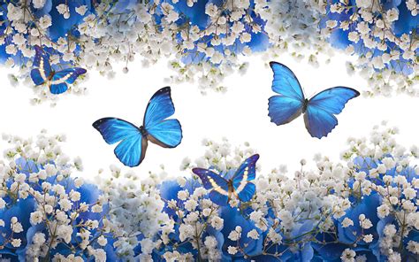 Fondo De Pantalla De Mariposas Azules