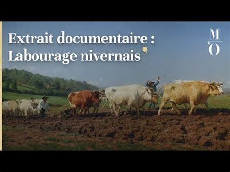 Exposition Rosa Bonheur Extrait Documentaire Labourage Nivernais