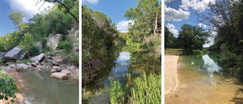 Dripping Springs, Texas | Audubon Texas