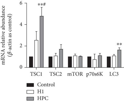 Hpc Induced The Tsc1 Expression And The Activity Of Download