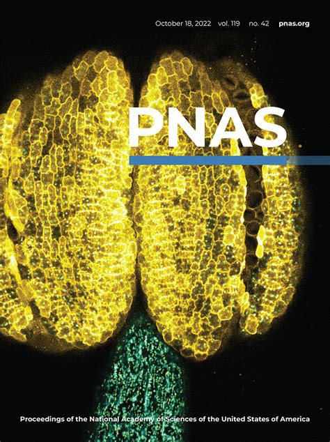 5 Methylcytosine M5C RNA Modification Controls The Innate Immune