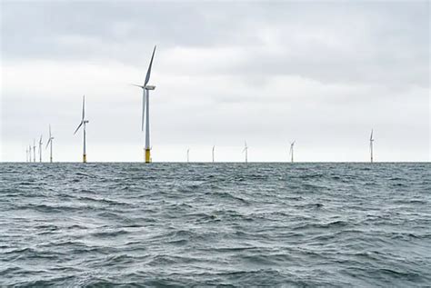 New York Bight Lease Sale Who Is Competing Offshore Wind