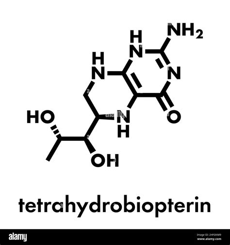 Tetrahydrobiopterin Sapropterin Phenylketonuria Drug Molecule