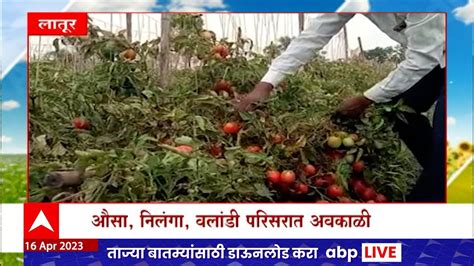 Saat Barachya Batmya 712 पिवळ्या कलिंगडाची करार शेती Abp Majha Youtube