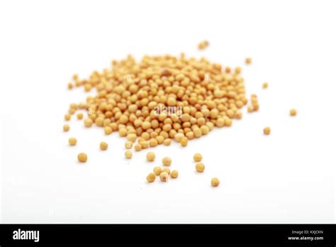 Grain Of Mustard Hi Res Stock Photography And Images Alamy