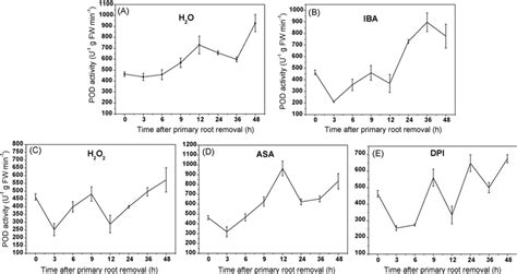 Changes Of Peroxidase POD Activity During Adventitious Rooting In