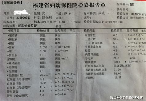 看不懂尿检报告一头雾水？医生带你五分钟看懂尿常规 尿液