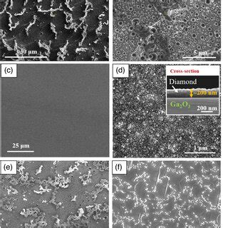 Color Online Representative Raman Spectra Of A Diamond Sio Ga O