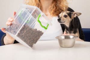how to tell if dry dog food is bad