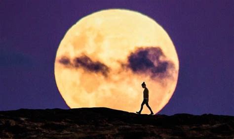 Supermoon 2019 Biggest Moon Of The Year Peaks On Tuesday Science